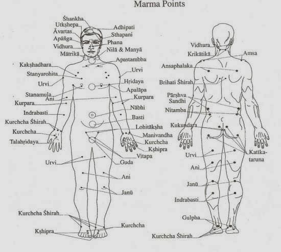 human chakras