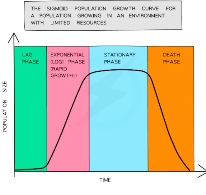 population growth